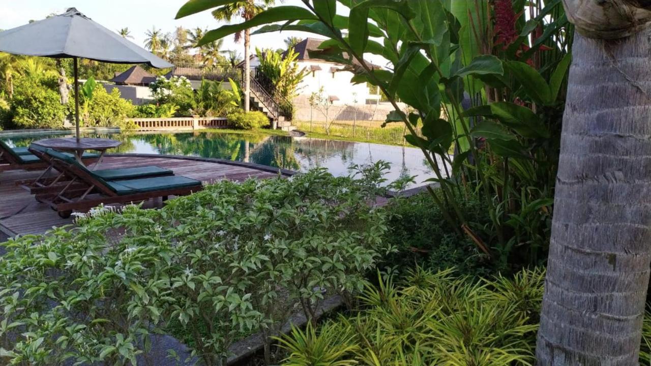 Darra Ria Villa Ubud Eksteriør billede